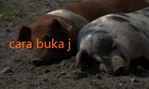 cara buka jalalive-Prediksi 5 Pemain Muda yang Akan Menjadi Bintang Masa Depan Indonesia