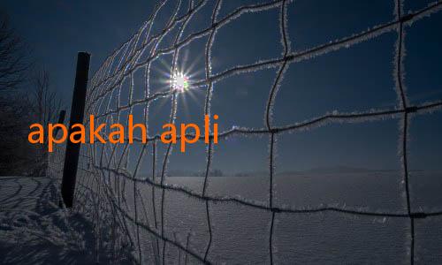 apakah aplikasi jalalive aman-Transfer Liga 1: Bali United Siapkan Strategi Baru untuk Musim Depan