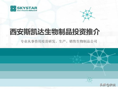 18份商業(yè)計劃書參考 PDF版