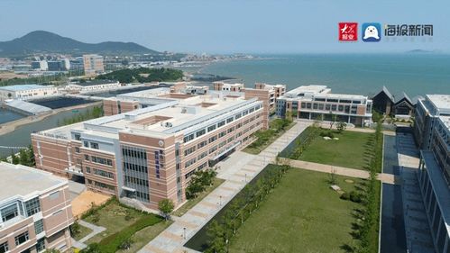 全省首枚 青島這所國際學校升學率再創新高