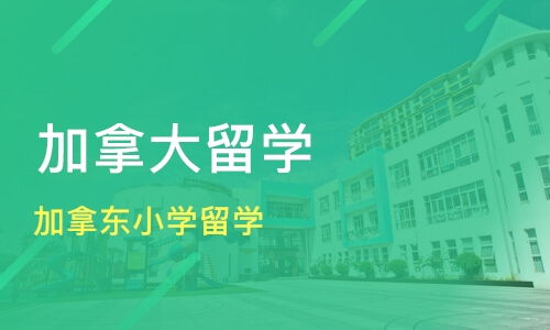 青島加拿東小學留學價格 加拿大留學哪家好 青島索引留學 淘學培訓