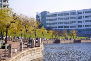 青島大學留學班的學生語言不達標可以出國嗎