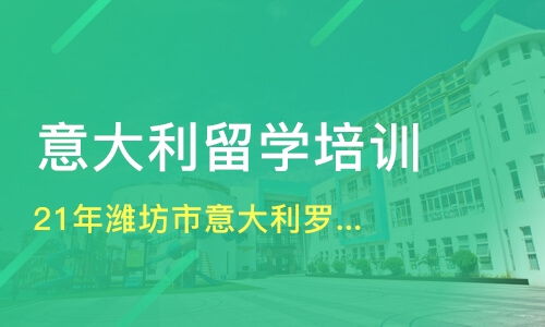 青島多年濰坊市意大利羅馬美術學院留學宣傳片價格 意大利留學哪家好 青島埃立特教育 淘學培訓
