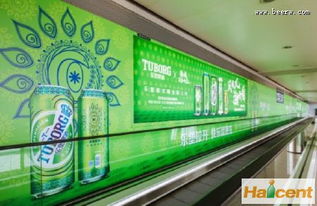 中國專業啤酒網站 中國啤酒行業門戶網站