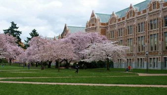 青島九中13級中美班學生獲美國頂尖大學錄取