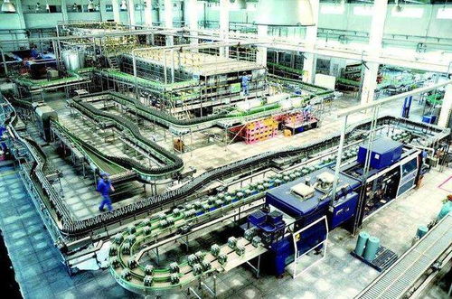1637億品牌價值的青島啤酒,用技術創新俘虜年輕人