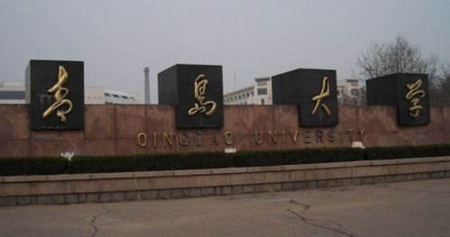 請問青島大學是否是國家重點大學