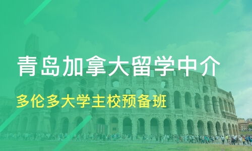 青島多倫多大學主校預備班價格 加拿大留學哪家好 青島新飛洋留學 淘學培訓