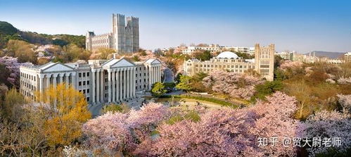 慶熙大學到底好不好 對外經濟貿易大學青島研究院有一個慶熙大學直錄班,求真實回答