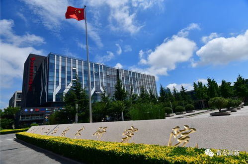 累積引進和培育項目超300個 這里孵化出眾多 明星 企業