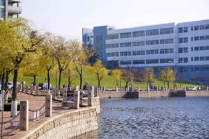 青島大學出國留學