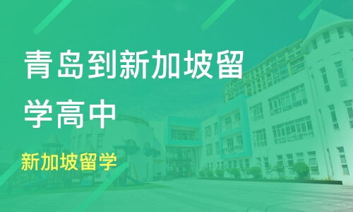 青島市北區(qū)新加坡留學(xué)培訓(xùn)班哪家好 新加坡留學(xué)培訓(xùn)班哪家好 新加坡留學(xué)培訓(xùn)課程排名 淘學(xué)培訓(xùn)