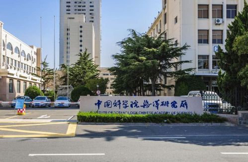 外籍華人天才教師,在美國(guó)多年,選擇攜帶20名華人博士回國(guó)發(fā)展