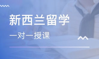 青島初中生留學(xué)新西蘭
